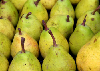 Dimagrire velocemente con la dieta settimanale delle pere: menù