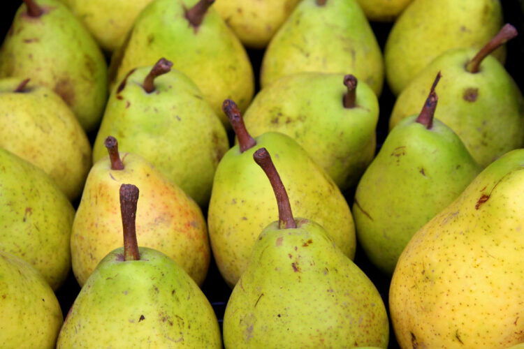 Dimagrire velocemente con la dieta settimanale delle pere: menù