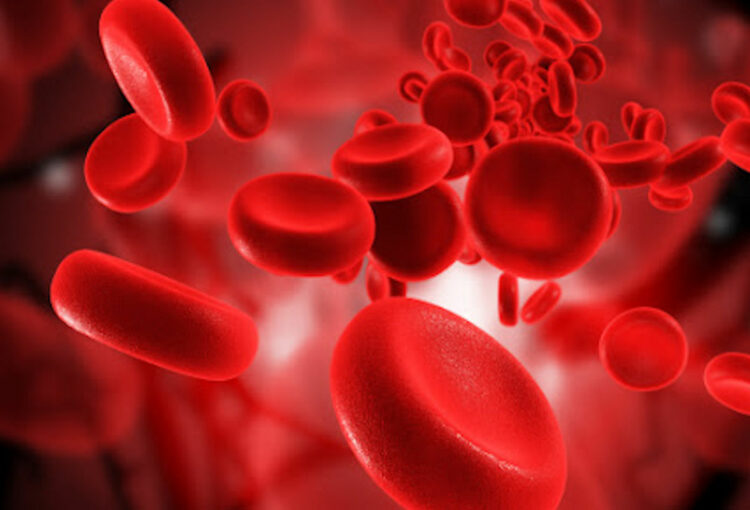 Tumori ematologici: leucemie, linfomi e mielomi: ricerca e cure