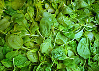 Colon e dieta, mangiare spinaci protegge dal tumore e fa bene al cuore e alla vista