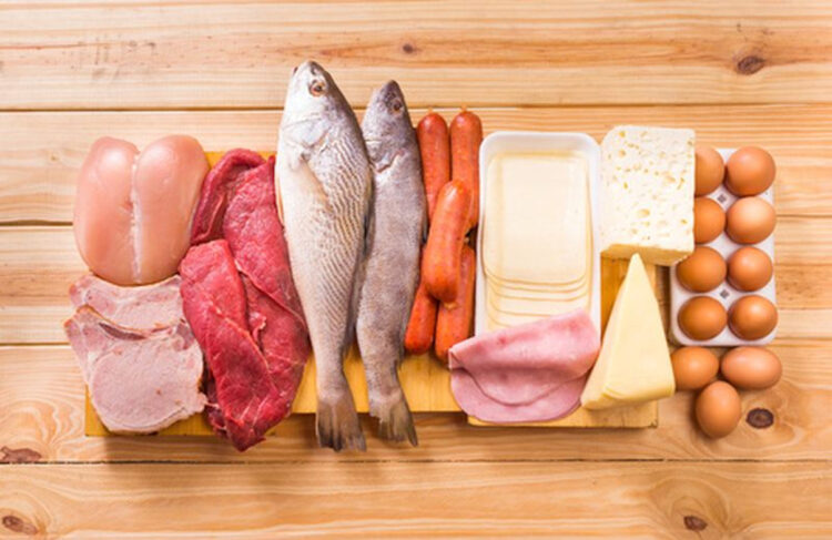 Dieta chetogenica, Mech: Italia prima in Europa sulla ricerca