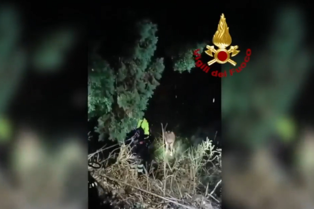 Maltempo, 4 persone intrappolate nelle Terme Segestane: salvate VIDEO