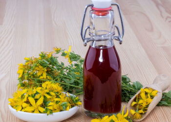 Olio di iperico, gli usi che non tutti conoscono e come si prepara: ricetta