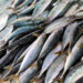 Pesce magro per dieta, ecco quale scegliere per dimagrire: menù settimanale