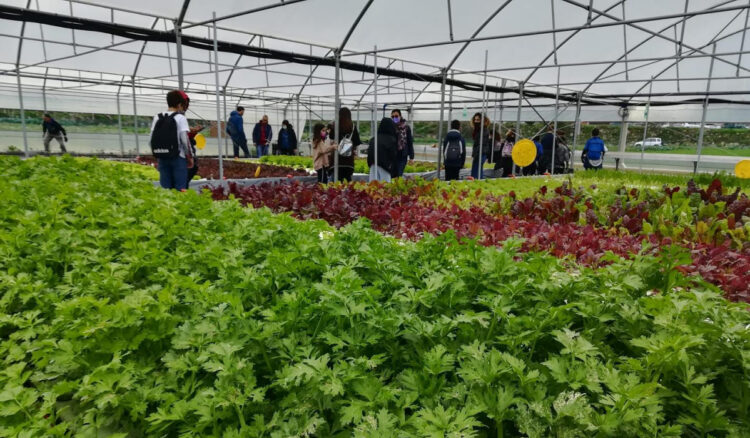 Ragusa, visita della Quasimodo agli orti sociali