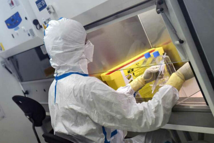 Variante Omicron è in Italia, un caso in Campania: arrivato dal Mozambico