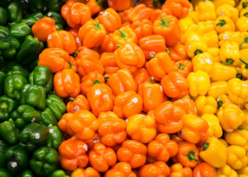 Come dimagrire 5 chili subito con la dieta dei colori: cos'è la cromodieta?