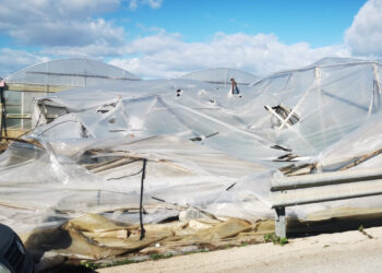 Tromba d’aria a Scoglitti, intervento del Sindaco FOTO