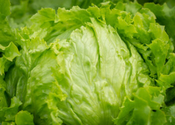 Dieta e lattuga, matrimonio perfetto per dimagrire: schema menù