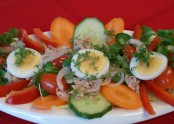 Dieta del piatto unico: le vera dieta per dimagrire 10 kg