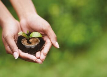 Caffè Borbone lancia una capsula amica della natura