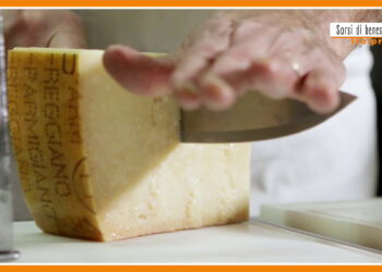 Sorsi di benessere – Una crema di carciofi e Parmigiano Reggiano