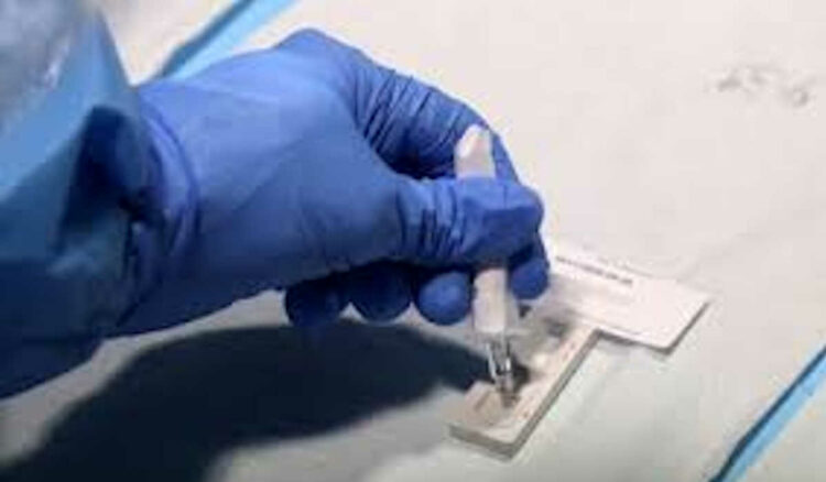 Covid Sicilia, 2446 nuovi positivi: altri 120 Ragusa