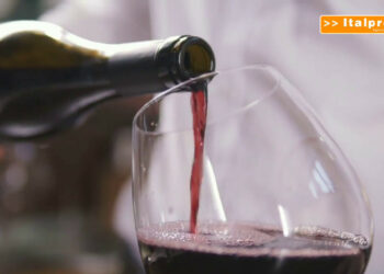 Vino, aumentano i costi di produzione in Europa