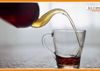 Sorsi di benessere – Ecco il decotto ideale per il periodo natalizio