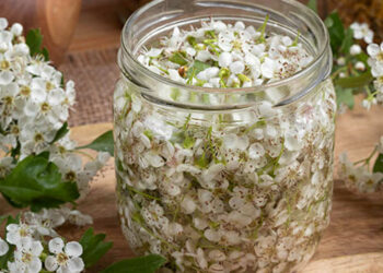 Tisana contro stress e ansia