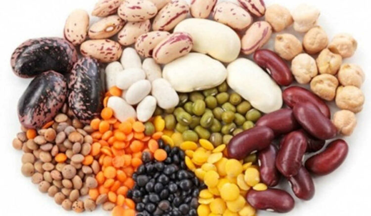 Termini Imerese. A tavola con i Legumi