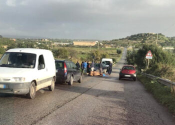 Cavallo investito e ucciso a Scicli