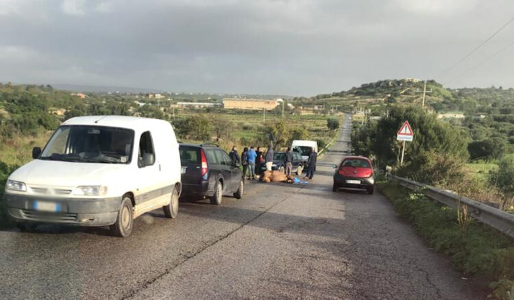 Cavallo investito e ucciso a Scicli