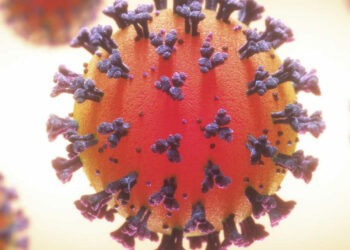 Covid Sicilia, 836 nuovi positivi: 31 a Ragusa