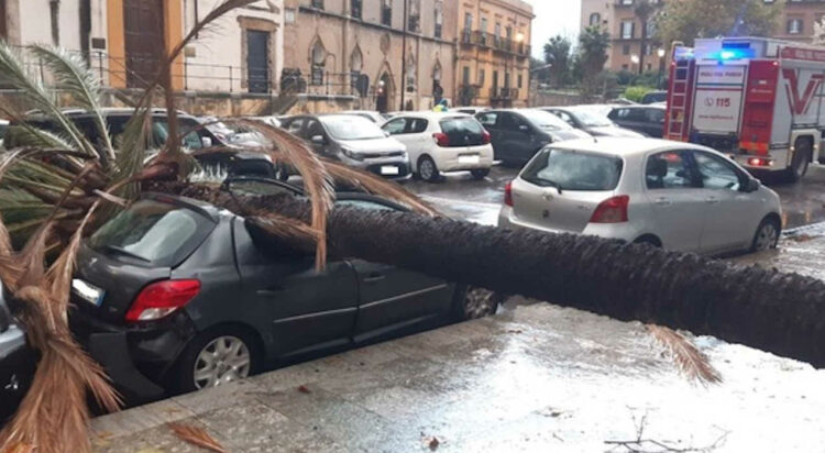Maltempo a Palermo, palma crolla davanti alla Questura