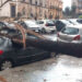 Maltempo a Palermo, palma crolla davanti alla Questura