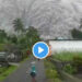 Vulcano Semeru spaventa Giava: nube colossale di cenere VIDEO