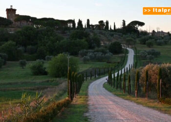 Agriturismi e turismo verde, 2021 in ripresa per il 70% delle aziende