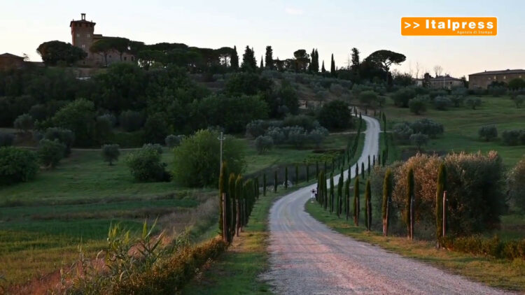 Agriturismi e turismo verde, 2021 in ripresa per il 70% delle aziende