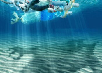 Marevivo “Il rinvio della Plastic Tax al 2023 ci sconforta”