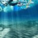 Marevivo “Il rinvio della Plastic Tax al 2023 ci sconforta”
