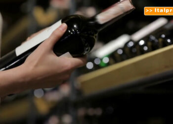 Agrinsieme “Difendere il vino italiano in Europa”