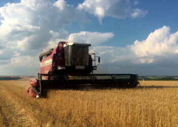 Manovra, 2 miliardi per l’agroalimentare