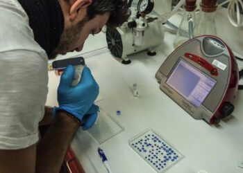 Un’alterazione causa la perdita dei contatti tra cellule