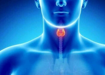 Bonus tiroide, Inps: assegno da 290 a 525 euro al mese a pazienti con problemi tiroidei