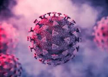 Covid Sicilia, 7369 nuovi positivi: 1728 a Catania e 973 a Ragusa