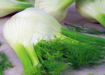 Finocchio ogni giorno, perdi 4 kg in 5 giorni: lo schema della dieta