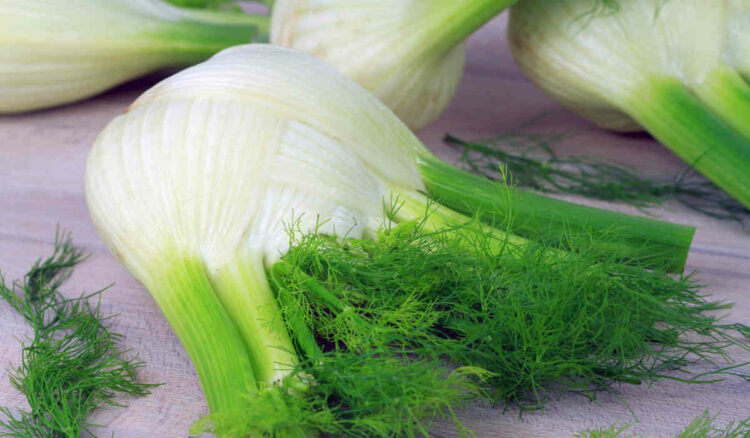 Finocchio ogni giorno, perdi 4 kg in 5 giorni: lo schema della dieta
