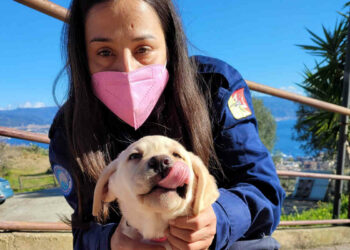 Ragusa sono già cinque le famiglie in provincia di Ragusa che hanno deciso di adottare un cane guida per ciechi