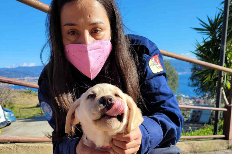 Ragusa sono già cinque le famiglie in provincia di Ragusa che hanno deciso di adottare un cane guida per ciechi