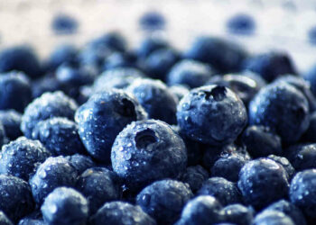 Il frutto nero per abbassare la glicemia e contro il diabete