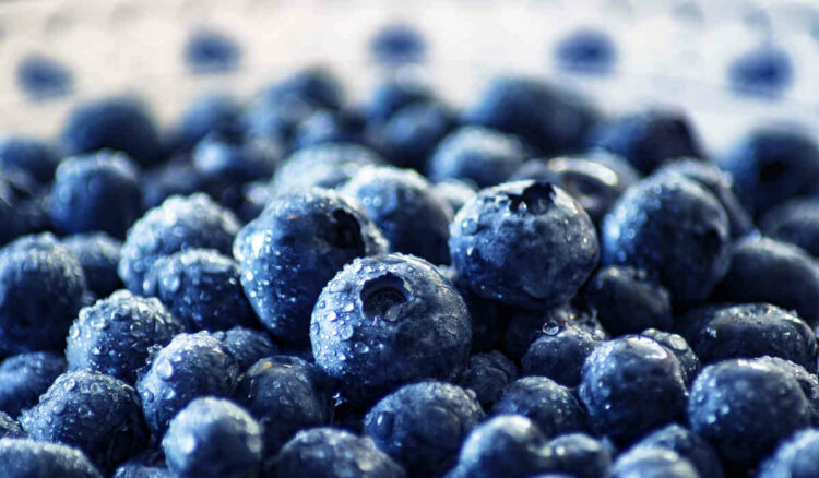 Il frutto nero per abbassare la glicemia e contro il diabete