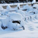 Meteo, arriva il freddo, la neve e il gelo dai Balcani