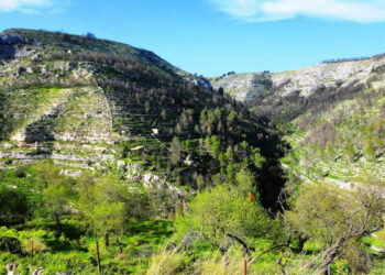 Modica: Cava dei Servi, tra archeologia e biodiversità