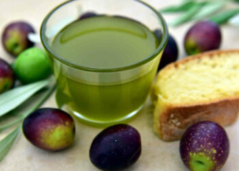 Olio di oliva, 7 grammi al giorno riduce rischi cardiovascolari