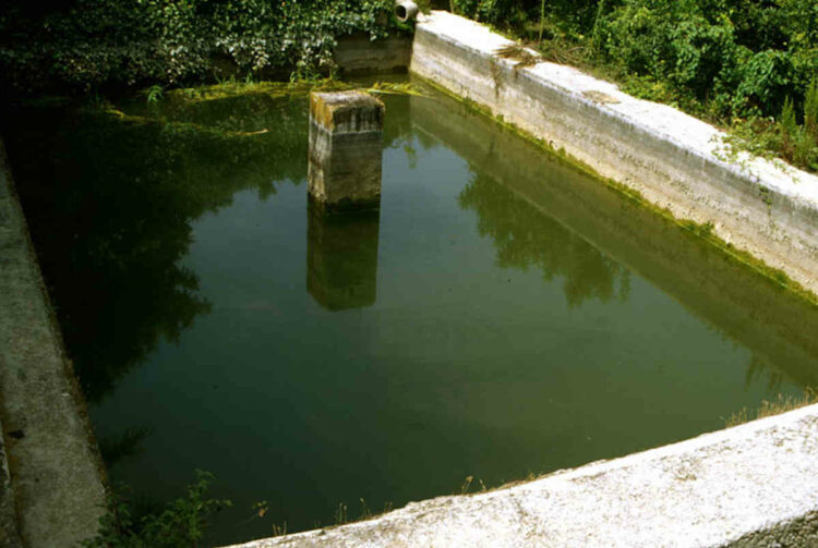 Operaio agricolo disperso, forse annegato in una vasca irrigua