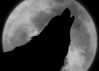 Plenilunio gennaio 2022, arriva la Luna del Lupo: ecco quando