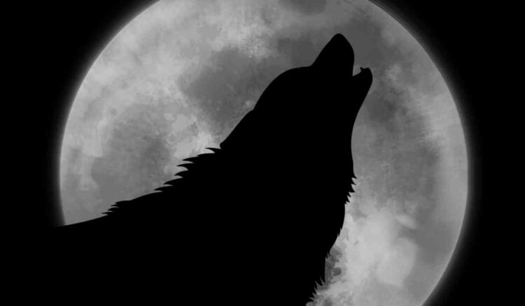 Plenilunio gennaio 2022, arriva la Luna del Lupo: ecco quando