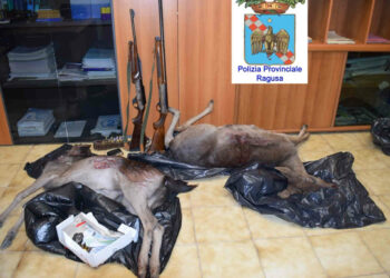Polizia Provinciale Ragusa: denunciati tre bracconieri a caccia di daini