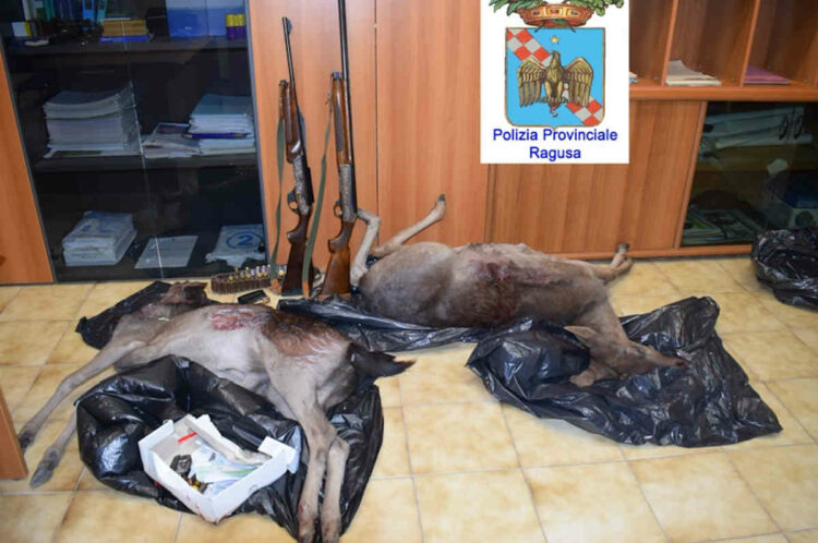 Polizia Provinciale Ragusa: denunciati tre bracconieri a caccia di daini